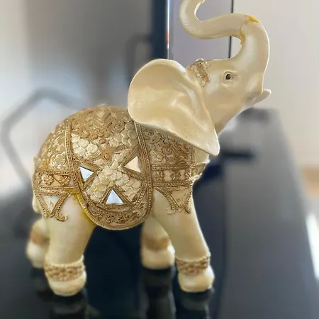 Myslym Shyri 2 * Тирана